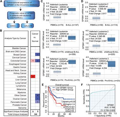 Knockdown of GPSM1 Inhibits the Proliferation and Promotes the Apoptosis of B-Cell Acute Lymphoblastic Leukemia Cells by Suppressing the ADCY6-RAPGEF3-JNK Signaling Pathway